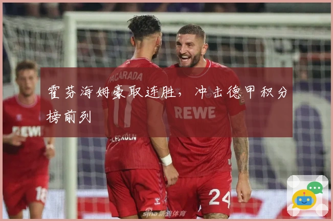 霍芬海姆豪取连胜，冲击德甲积分榜前列
