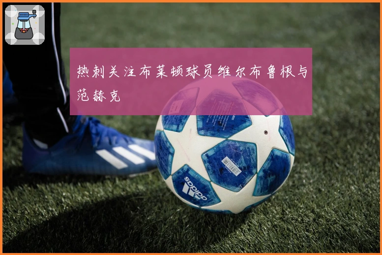 热刺关注布莱顿球员维尔布鲁根与范赫克